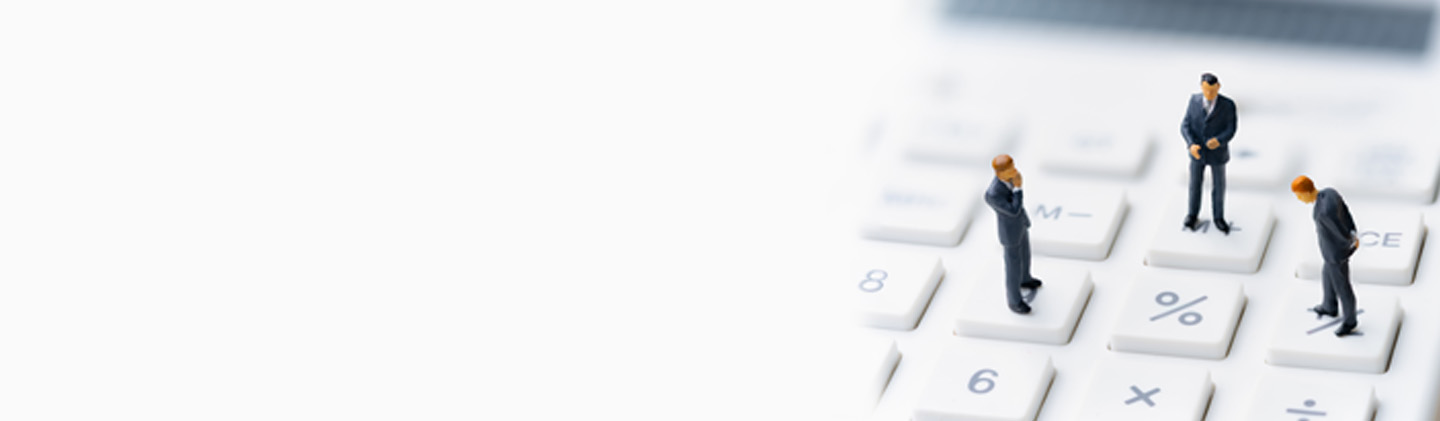 Fund Manager Role